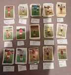 Cromos Caderneta Campeões de Portugal (recuperados)