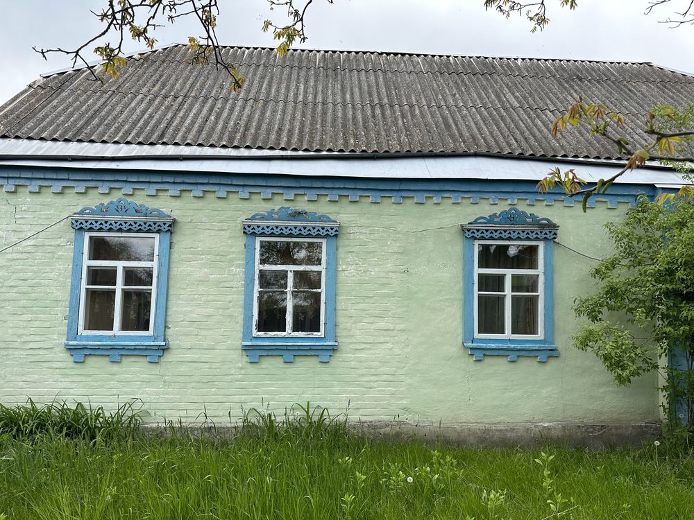 Продам будинок в с. Плесецьке Київська область