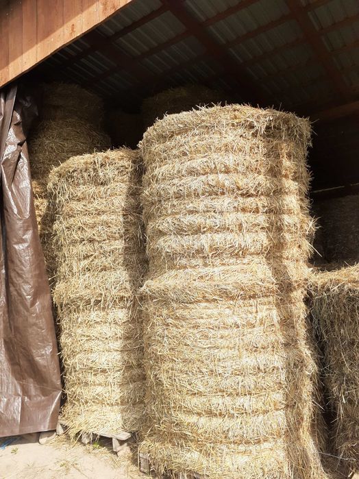 Słoma w belach .