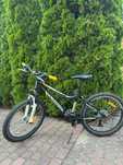 Rower Wheeler Junior Bike 240