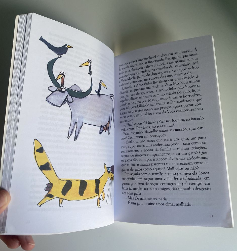 Livro O Gato Malhado e a Andorinha Sinhá