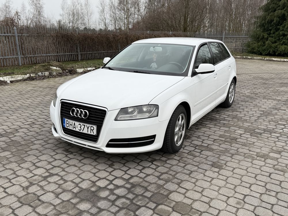 Audi A3 8P, 1.6 tdi 2010 rok