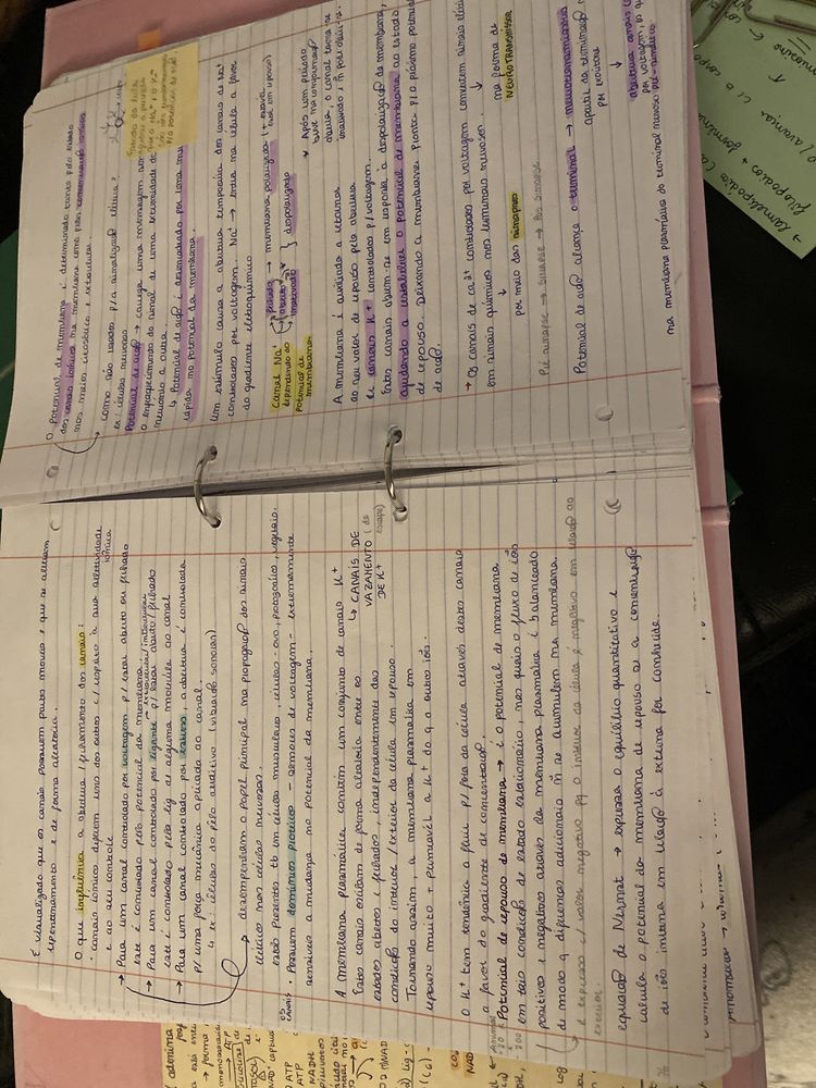 apontamentos/ resumos  de preparaçao para exame de medicina