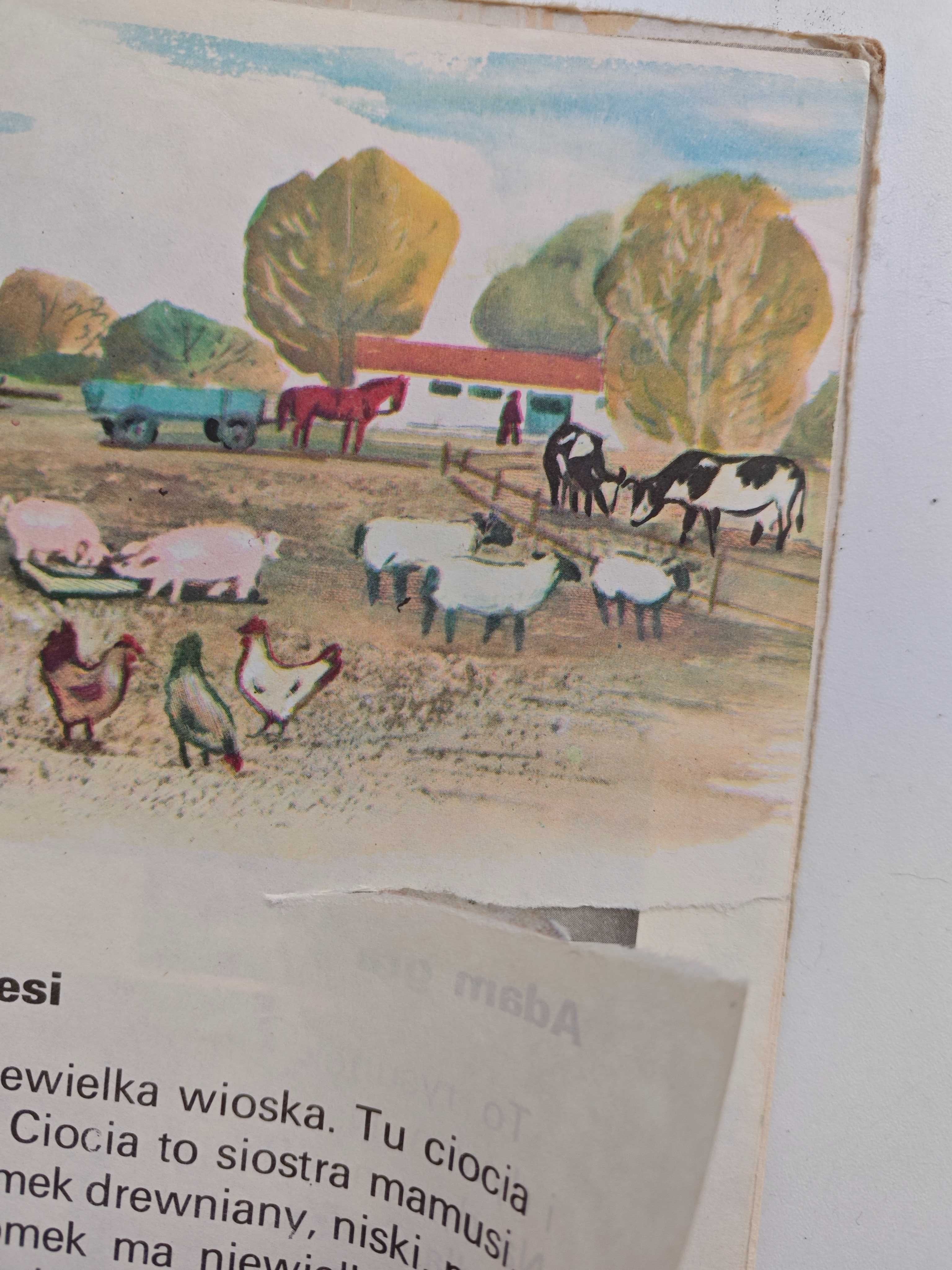 Litery nauka czytania ewa feliks przyłubscy kwacz elementarz wsip 1991