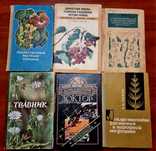 Книги: художня, медична, сонники, гороскопи