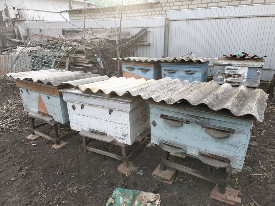 Продам улики, улей.