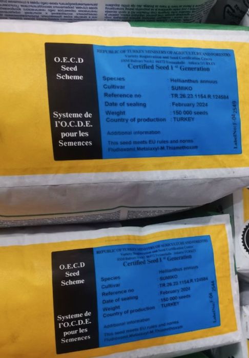 Насіння соняшника  сінгента