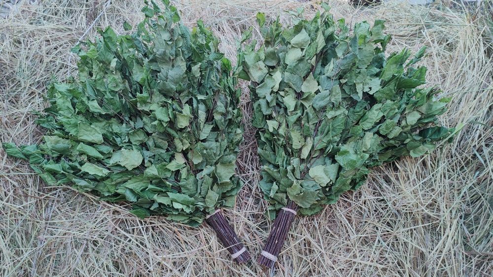 Віники для бані(лазні)+ Віники з лікарських трав (10 видів)