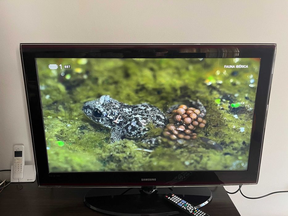 TV Samsung de 40" (LE40A656A1F)