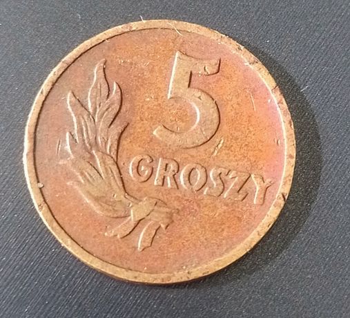5 groszy z 1949 roku