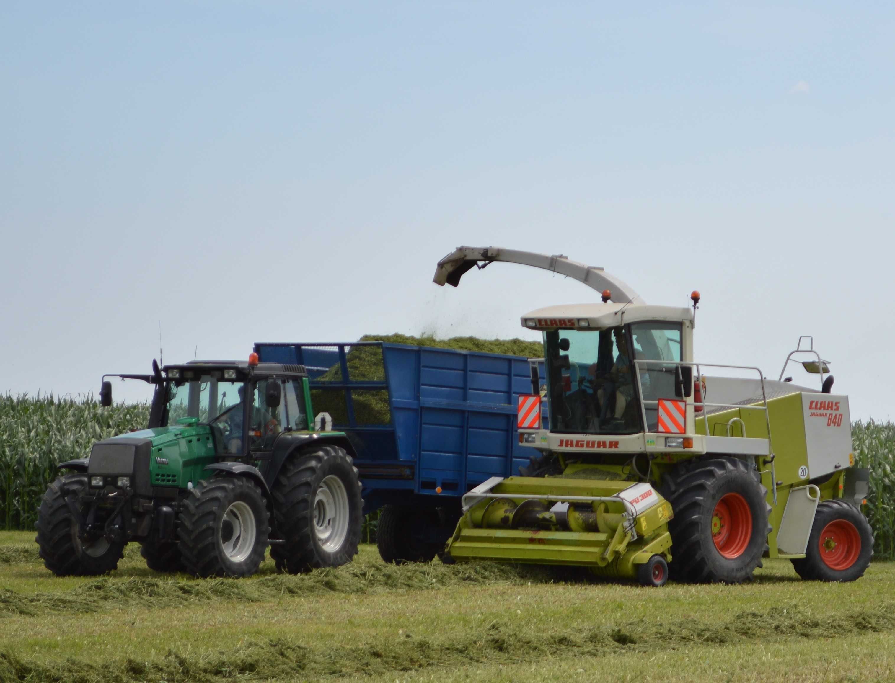 Siew kukurydzy,GPS 2CM RTK Zbiór kukurydzy na kiszonkę, usługi rolnicz