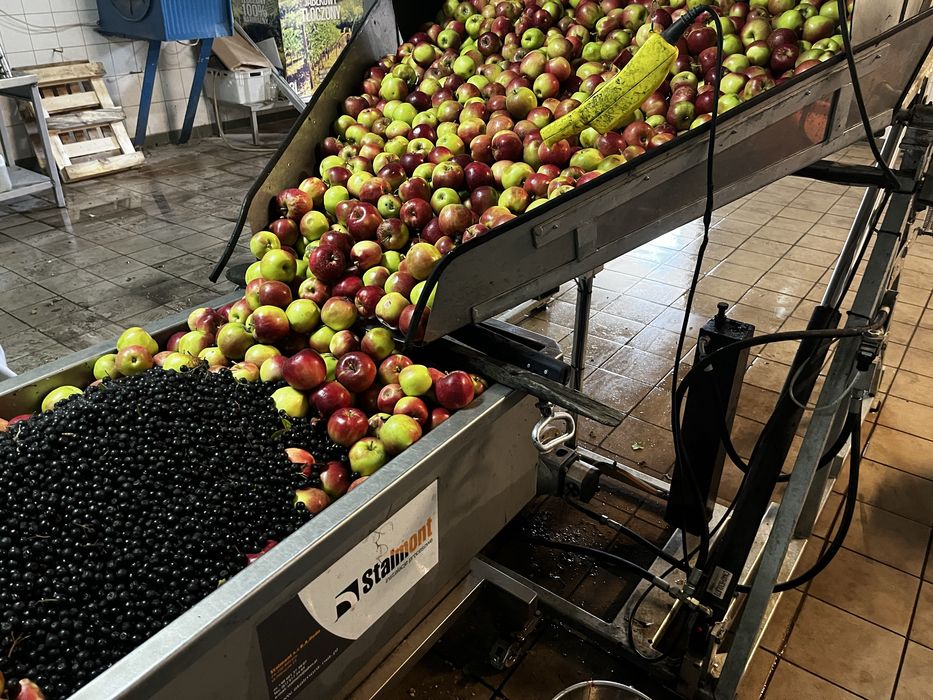 Tłocznia jablek - uslugowo