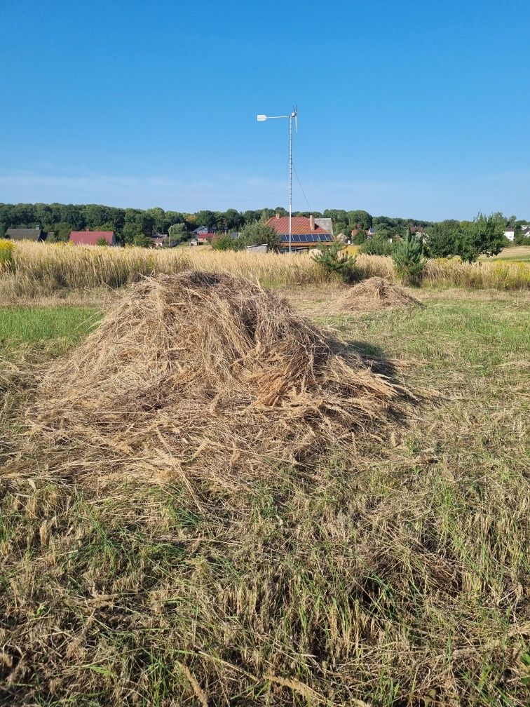 Віддам сіно Безкоштовно