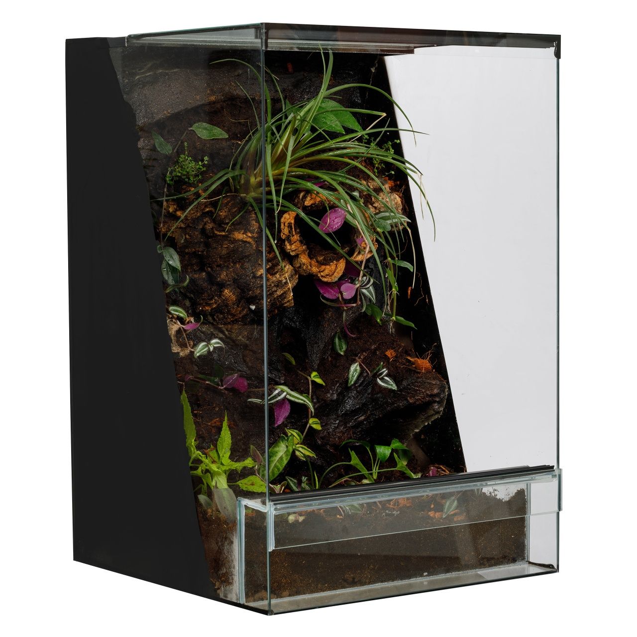 Terrarium tropikalne 40x40x60 gekon paludarium