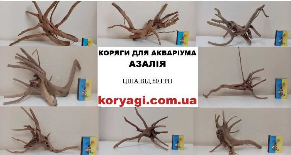 Коряга коряги для акваріума  Ціна від 80 грн.