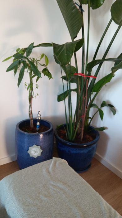 Vasos ceramica azuis