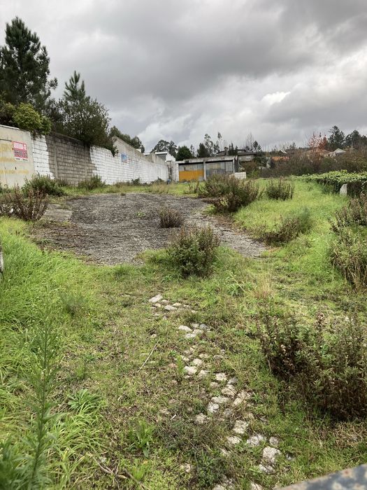 Alugo terreno 12500 m2 ha face estrada n 15 Gandra / Baltar c/barracao