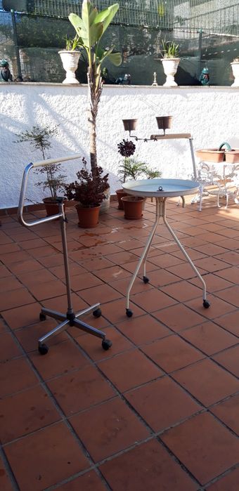 Poleiro para papagaios ao catatau