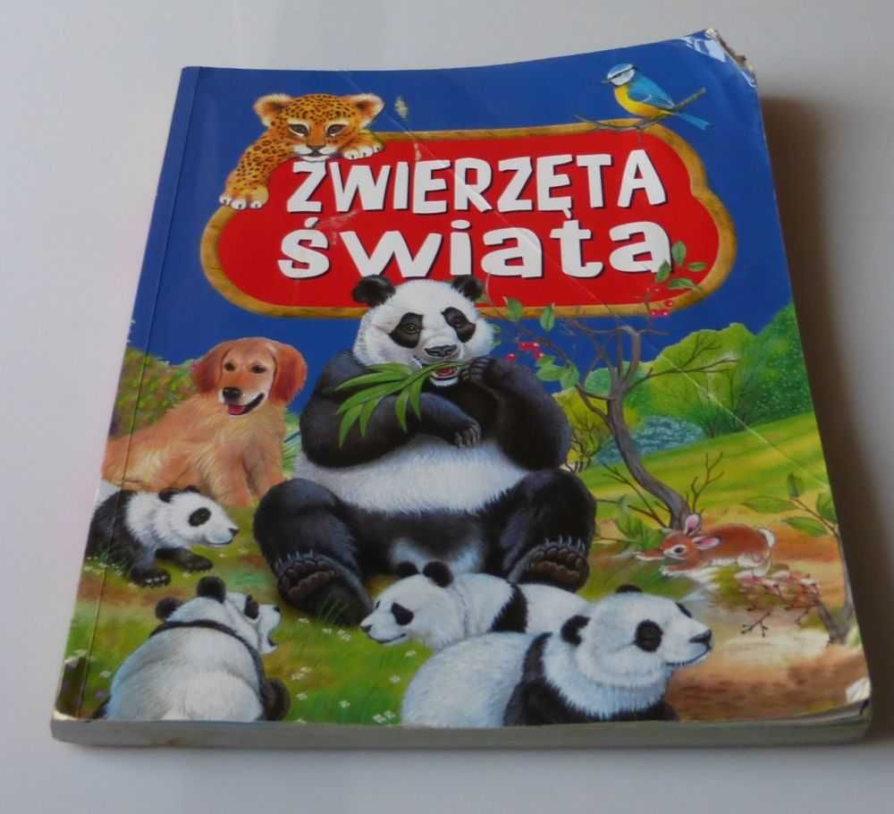 ZWIERZĘTA ŚWIATA Olesiejuk książka zwierzątka dla dzieci gruba