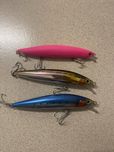 Amostras spinning shimano bassday