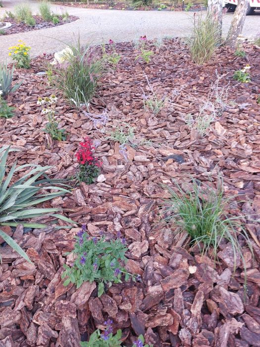 Kora sosnowa Ziemia ogrodowa uniwersalna Torf Kompost Pułtusk