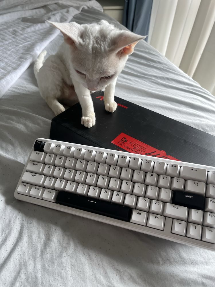 Attack shark X65 HE Keyboard Магнитна 8000hz