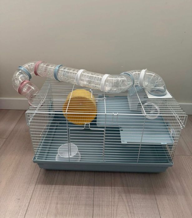 Casota Hámster, como nova