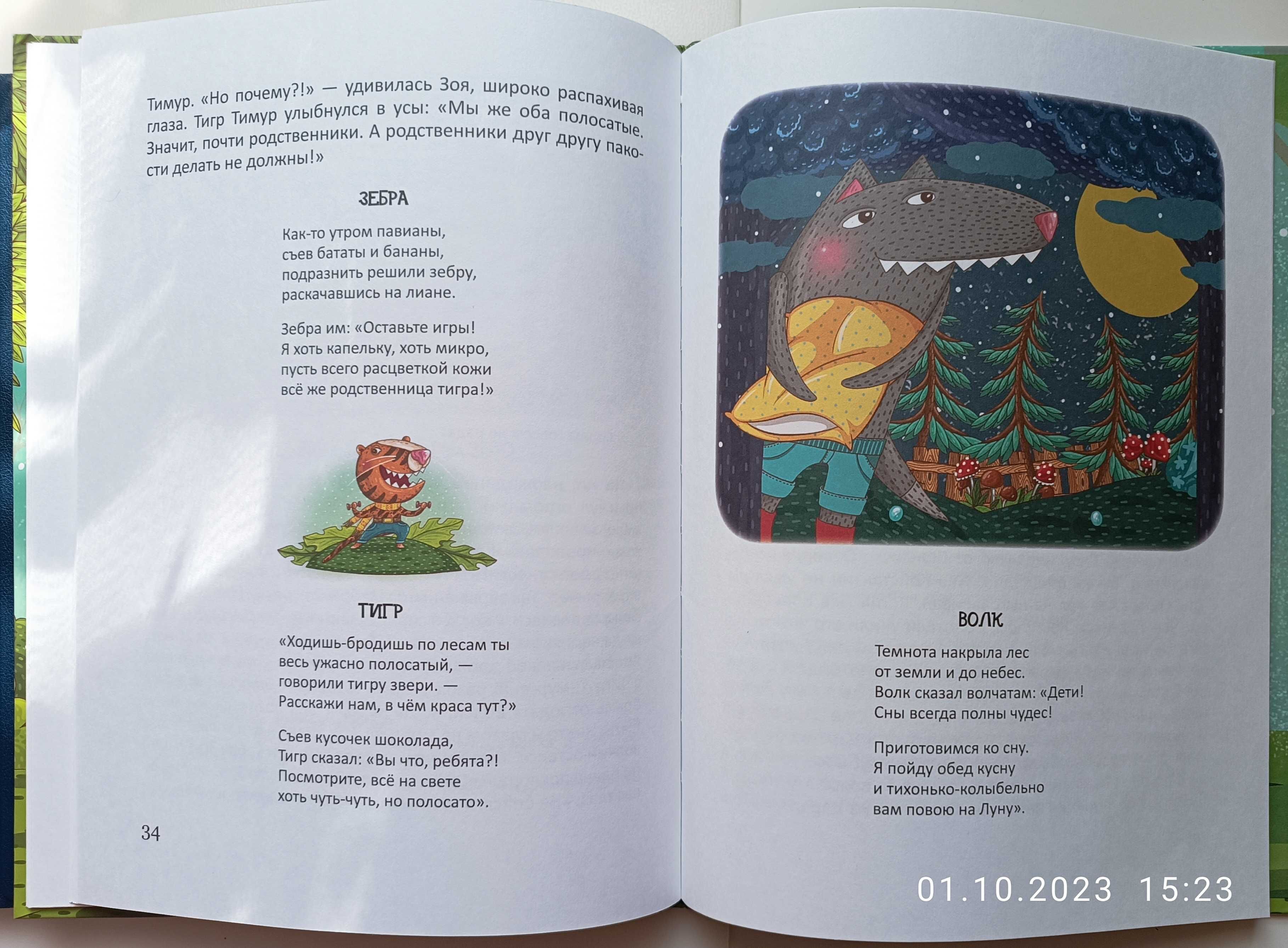 Детская книга "Огромный лес"