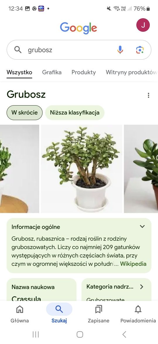 Yuka i grubosz szczepki