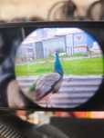 Scop cam para mira
