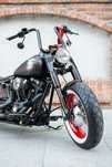 Harley-davidson custom bike