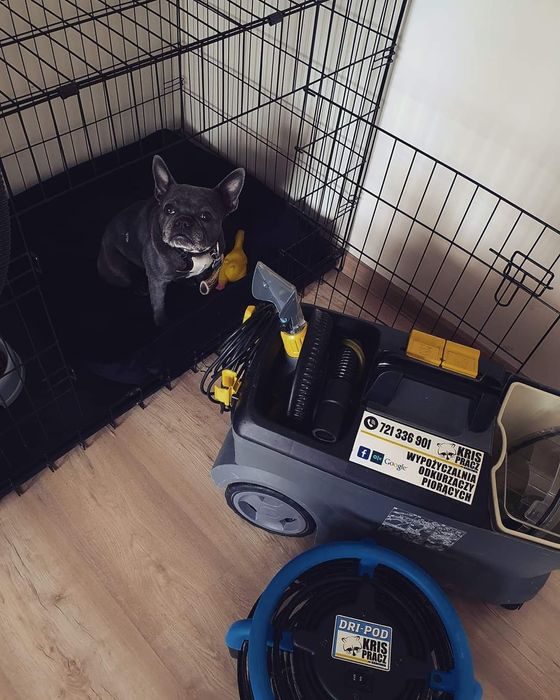 Wynajem odkurzaczy piorących,wypożyczalnia karcher, proszki, osuszacz