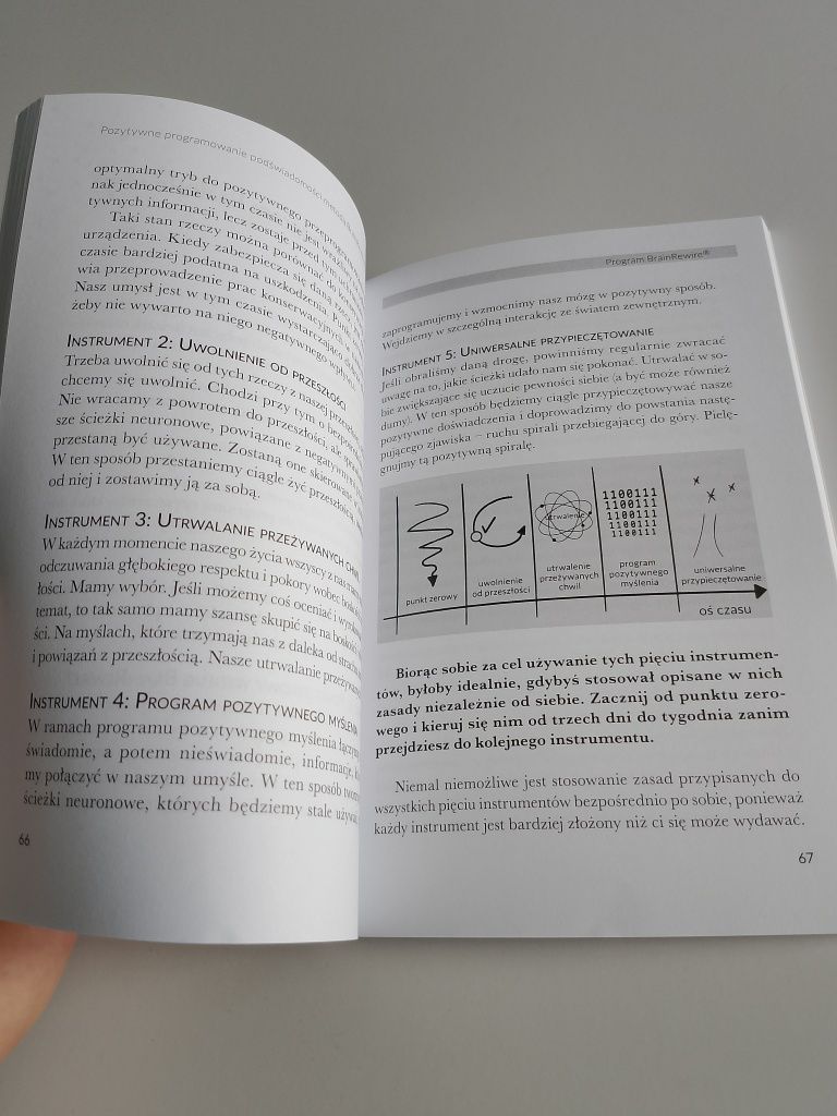 Pozytywne programowanie podświadomości metodą BrainRewire® - Palacios