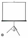 Ekran przenosny Suprema Leo 203x152