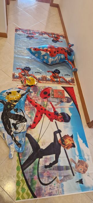 Artigo de festa Ladybug