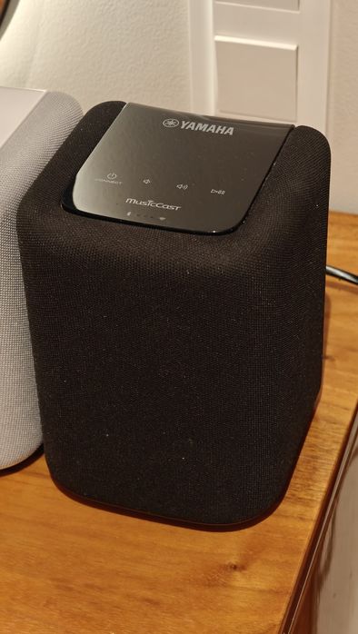 Para głośników Yamaha Musiccast WX-010