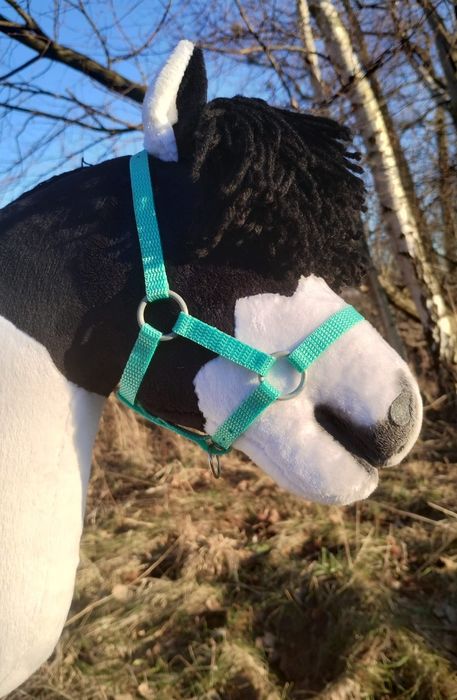 Hobby horse hck a4