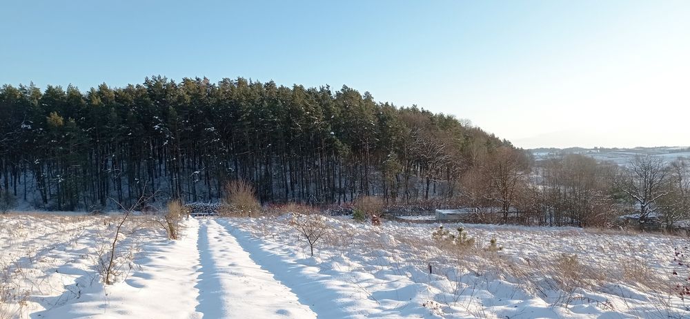 Ділянка 10сот.с.Селисько 14км.до м.Львів Солонківське ОТГ