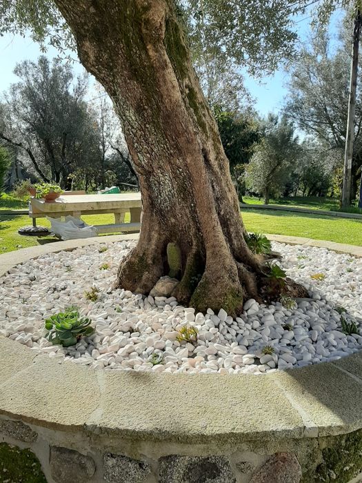 Jardins e Limpeza de Terrenos