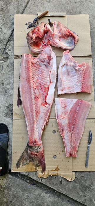 Продам живі та варені раки