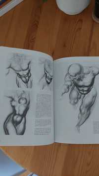 Livro desenho da figura humana