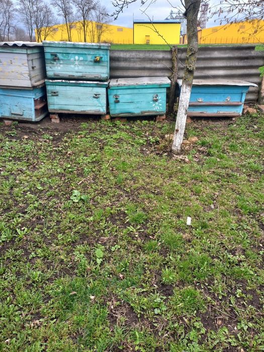 Вулик лежак 24рамочний