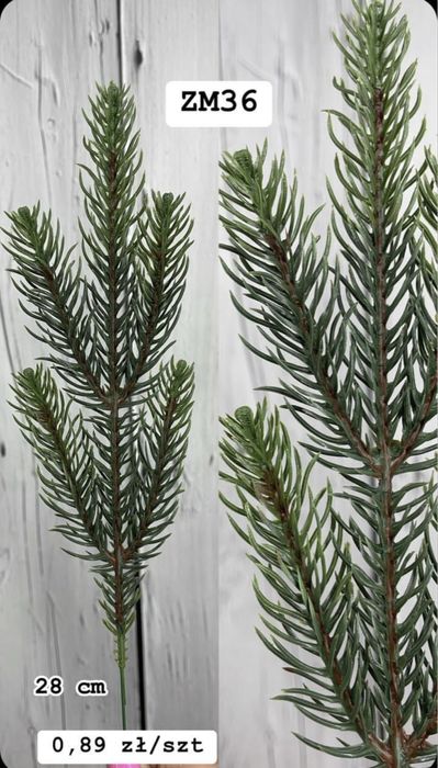 10 sztuk Gałązka iglasta – 28 cm, sztuczna