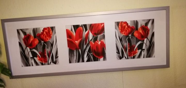 Obraz tulipany czerwone