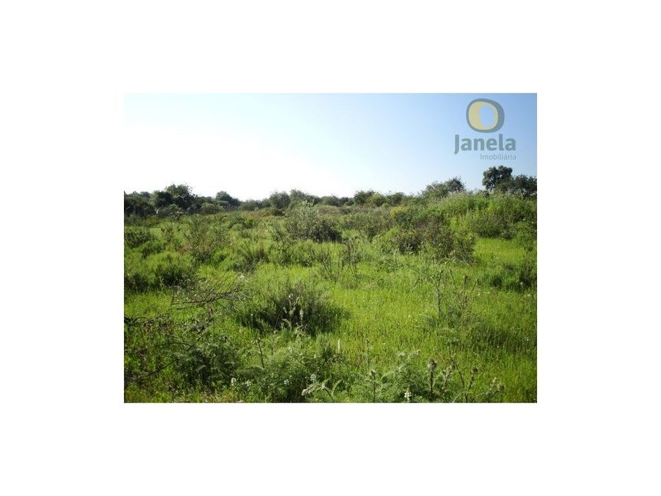 Terreno Rústico Venda Faro