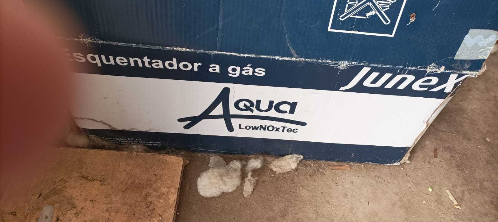 Esquentador junex