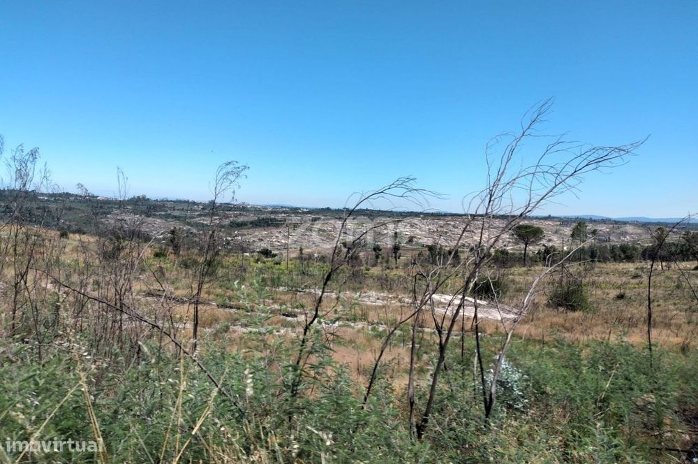 Terreno 10.020m2 em Travancinha - Seia