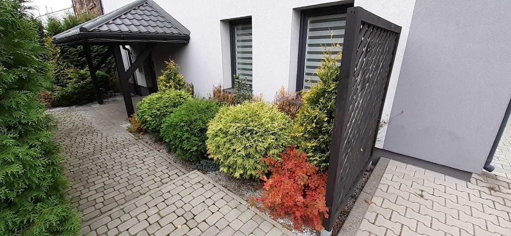 Kawalerka w Sosnowcu - Ostrowy Górnicze