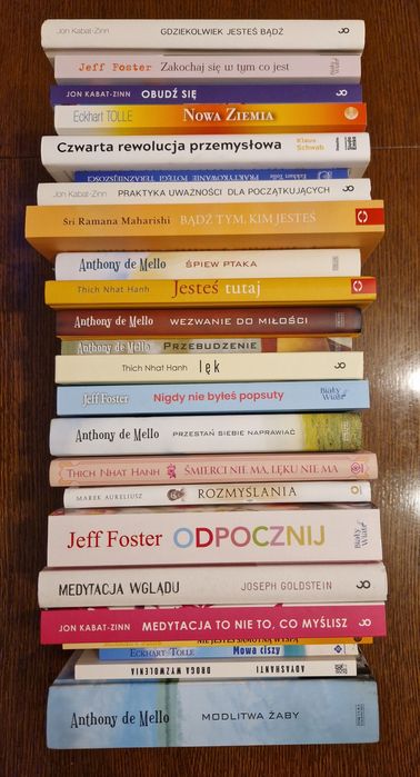 Zestaw 24 książek rozwój osobisty