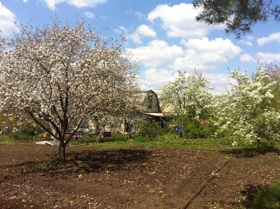 продам дачу между Песчаным и Шестаково 18 соток